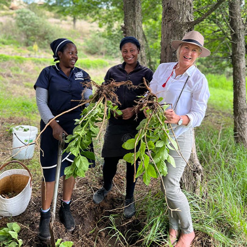 Microbially Dense & Delicious Probiotics: